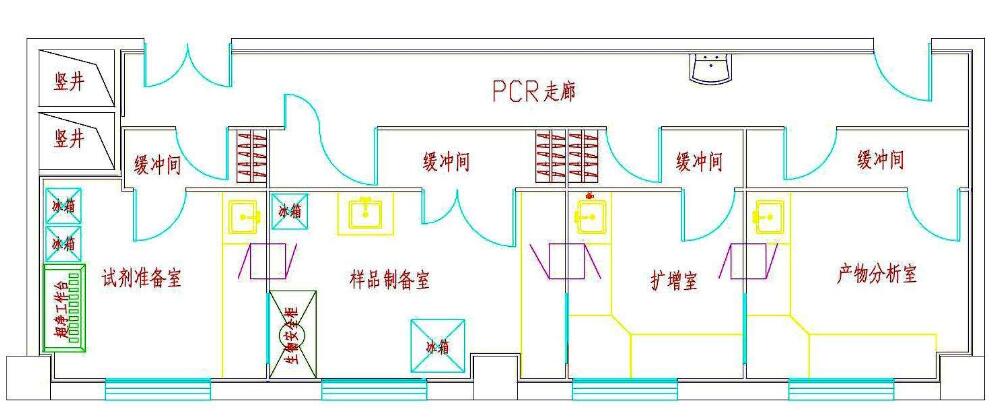 pcr實(shí)驗(yàn)室設(shè)計(jì)